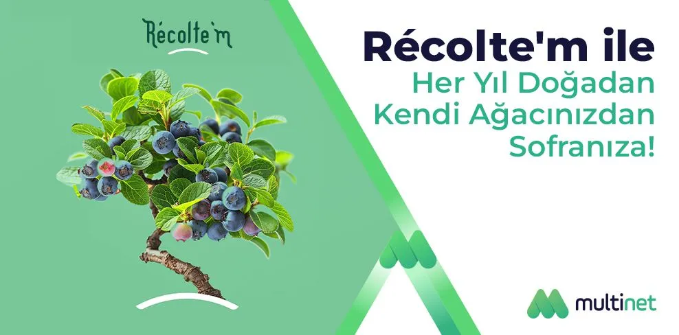 Recoltem Kampanyası